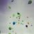 Andrea Leary's profile image
