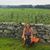 Jennifer Bianchi-Pickles's profile image