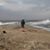 Pete J Pazer PE's profile image