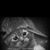 Leslie Lively's profile image