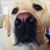 Suzi Pearson Sheckter's profile image
