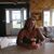 Sue Moloney Woodard's profile image