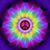Julie A Hacha's profile image