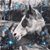 Natalie Stoppani Csf's profile image
