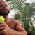 Matthew Deans's profile image