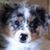 Kathy Korn's profile image