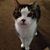 Robin Mihalko Barrett's profile image