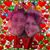 Natalie Shields's profile image