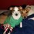 Ericka Eppler's profile image