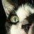 Kim Laru's profile image