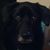 Allison A. Hutira's profile image