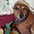 Terri Calloway Matlock's profile image