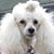 Rita Roby-Themuda's profile image