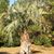 Lauralyn Kearney's profile image