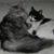 Debra Carter's profile image