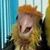 Tepa Aceves's profile image