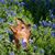 Tracy Brander's profile image