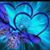 English Alc DC's profile image