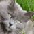 Marla Swartz's profile image