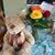 Kathy Brogan's profile image