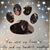 Shelly Thompson-Pezzulo's profile image