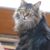 Kitty M. Lozoff's profile image