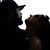 Javier Arroyo's profile image