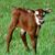 Shane Askins's profile image