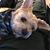 Diane Check's profile image