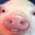 Erin Collins's profile image