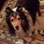 Roger Renslow's profile image