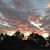 Rita Burch Kalman's profile image