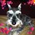 Sheryl Harris Kirchner's profile image