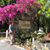 Anne Stonehouse's profile image