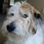 Teresa Keener Bryan's profile image