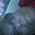 robin rankin's profile image