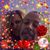 Michael R May's profile image