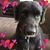 Rosemarie Martin's profile image