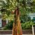 Kathy Geiger's profile image