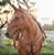 Sharon Watson's profile image