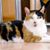 Phyllis Stockwell's profile image