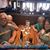 Lynn Bocson's profile image