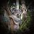 Lila Freeman Roberts's profile image