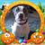 Teri Lynn DiClementi Cordell's profile image