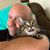 Bob Larsen's profile image