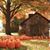 Karen Anceravage Seegren's profile image