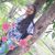 Aarti Gutch's profile image