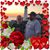 Elsie Martin's profile image