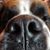 Tracy Lynn Pixley's profile image