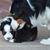 Cheryl Jesse Cramer's profile image